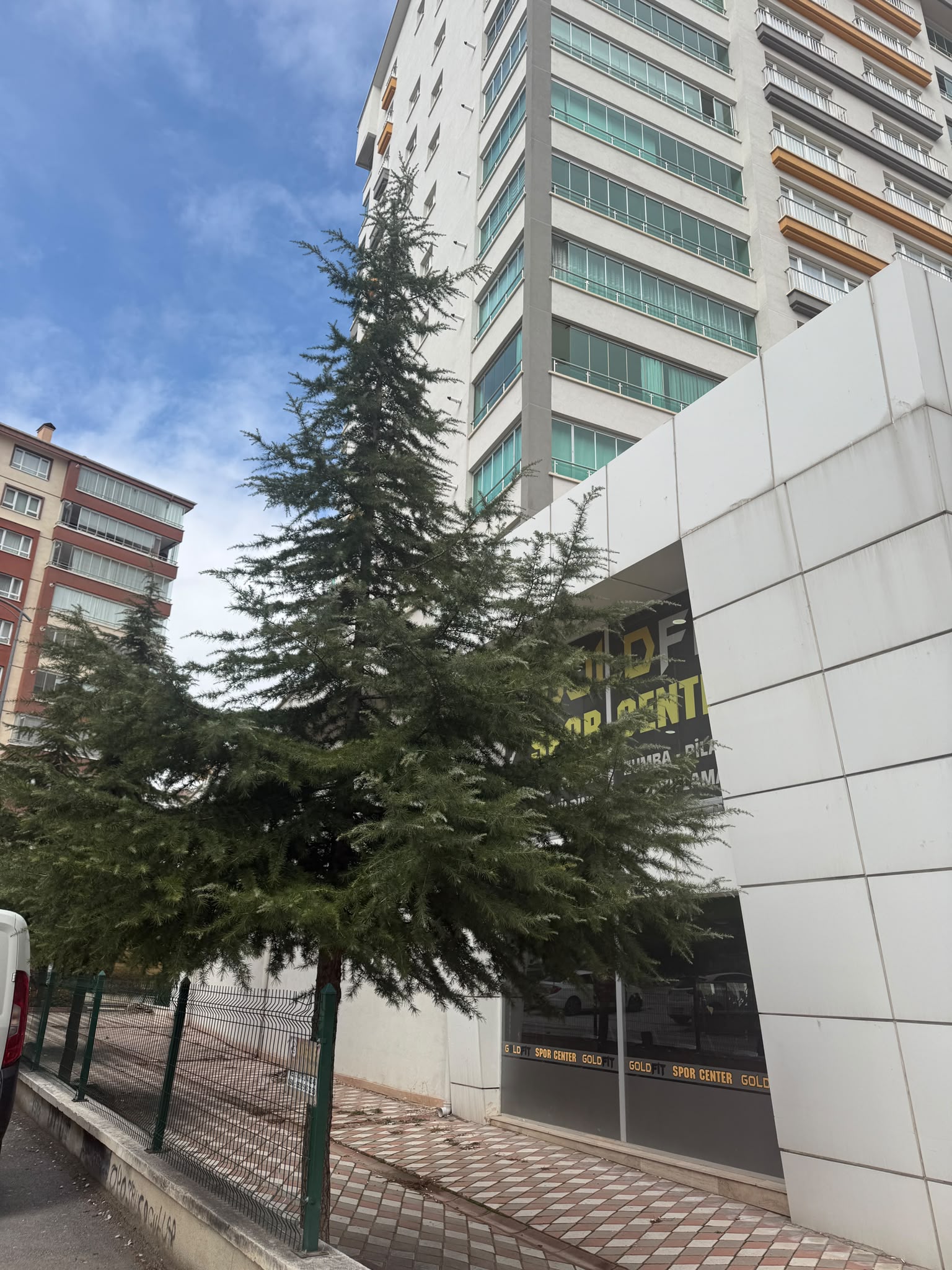 Divan Apartmanı 5